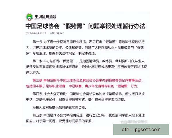 中国足球开启史上最严格职业联赛准入审查机制